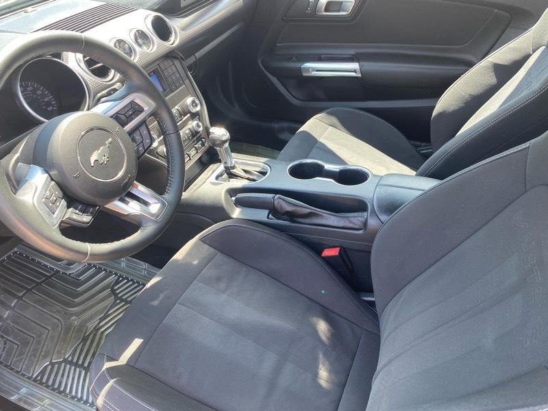 Ford Mustang EcoBoost Fastback 2019