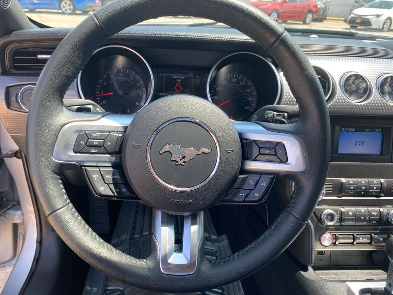 Ford Mustang EcoBoost Fastback 2019