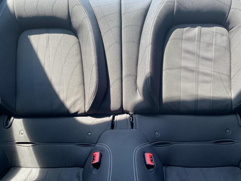 Ford Mustang EcoBoost Fastback 2019