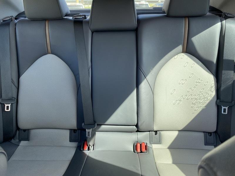 Toyota Camry XLE Auto (Natl) 2020