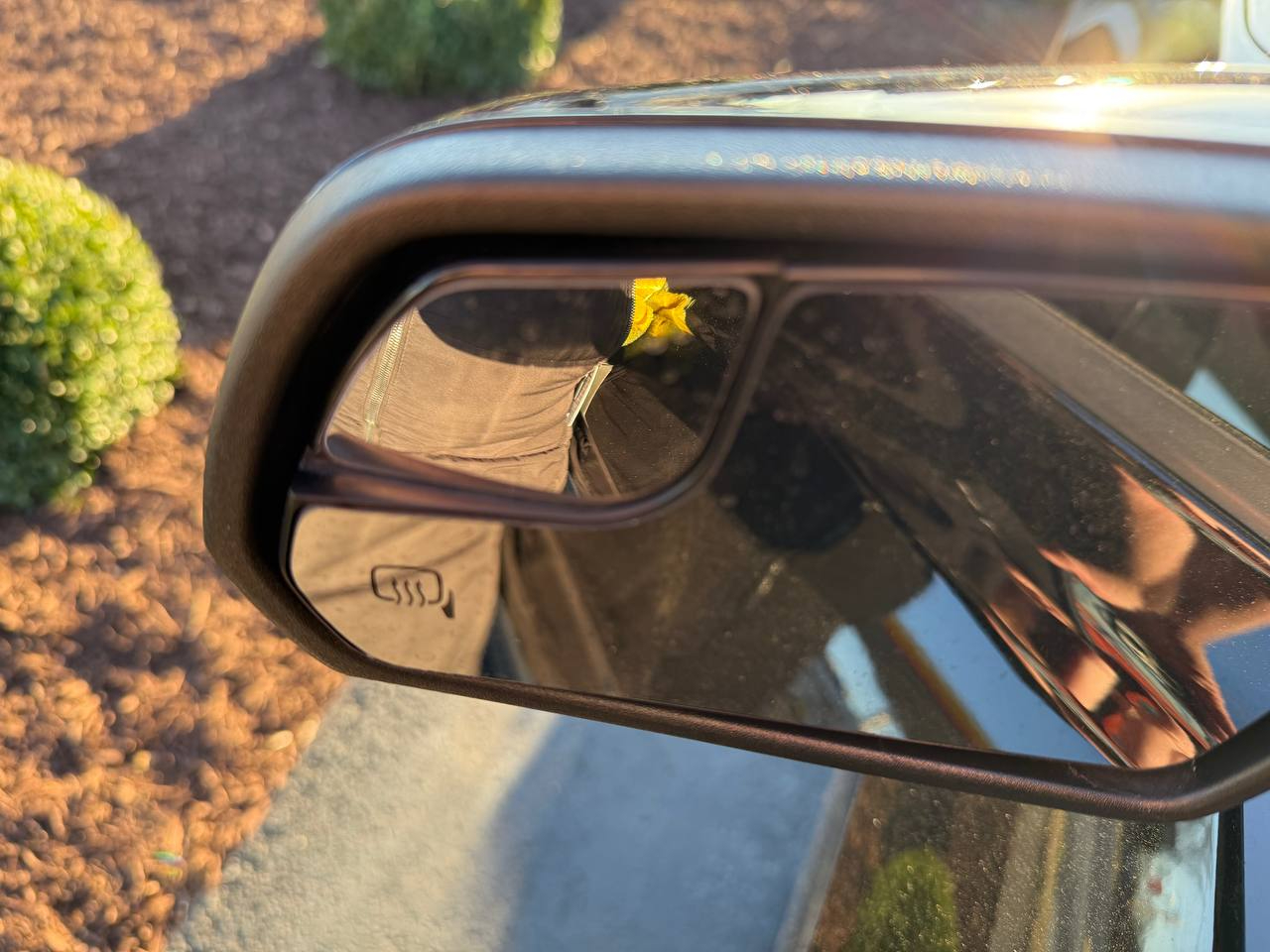 Ford Mustang GT Premium 2019