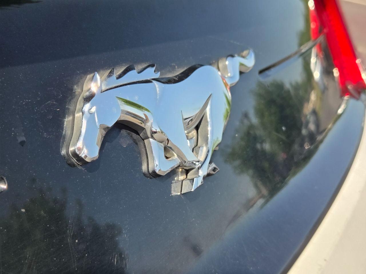 Ford Mustang EcoBoost Premium Coupe 2019