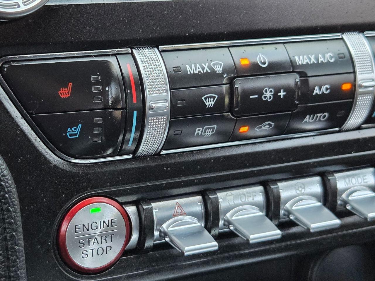 Ford Mustang EcoBoost Premium Coupe 2019