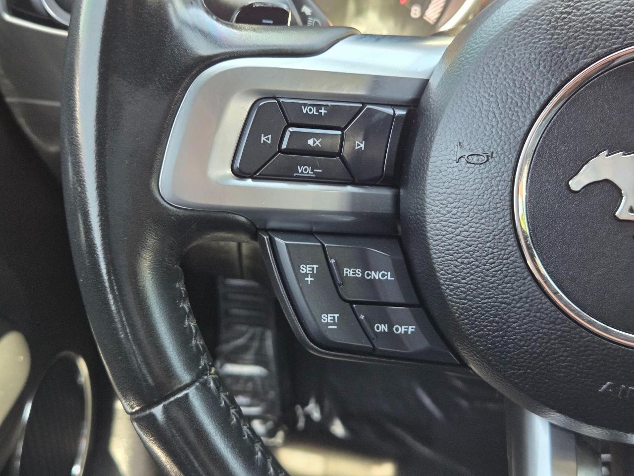 Ford Mustang EcoBoost Premium Coupe 2019