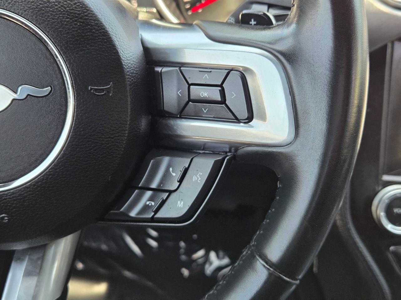 Ford Mustang EcoBoost Premium Coupe 2019