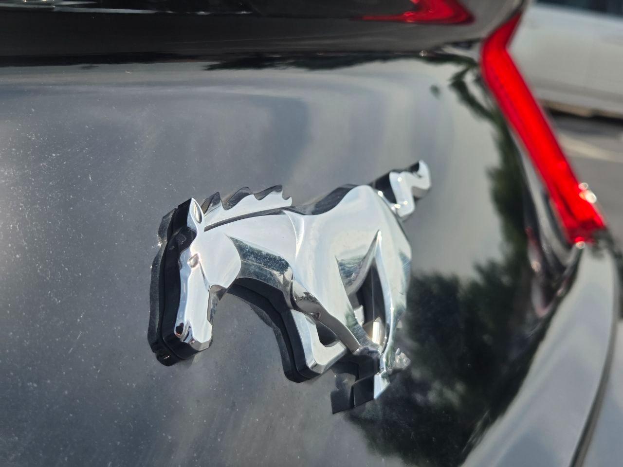 Ford Mustang EcoBoost Coupe 2019