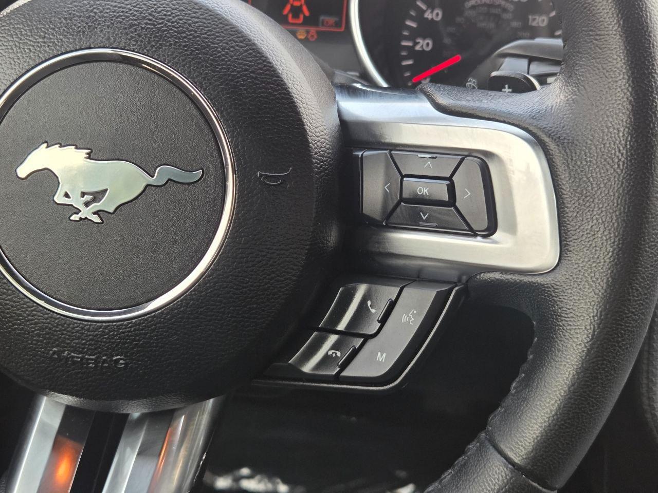 Ford Mustang EcoBoost Coupe 2019