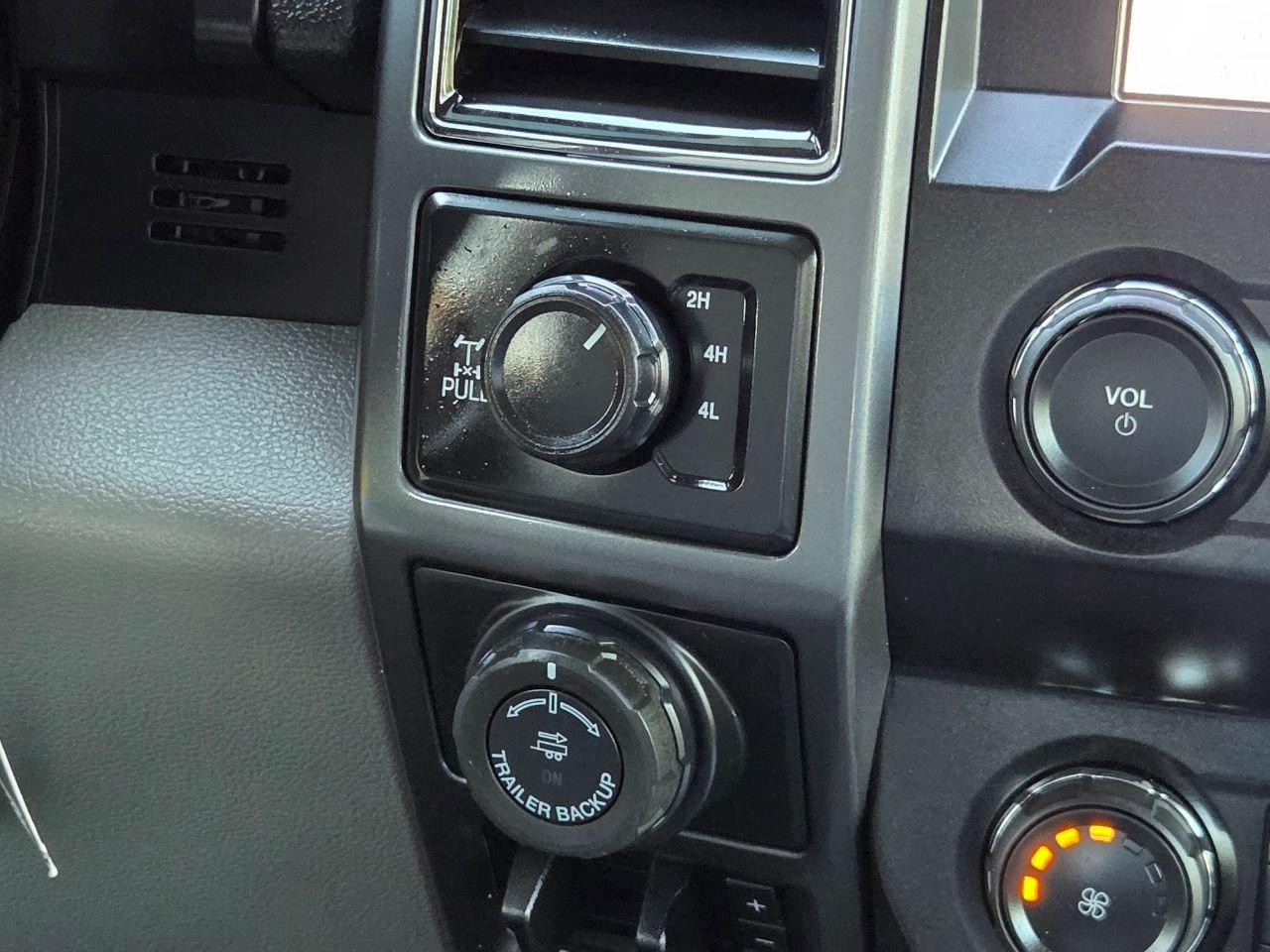 Ford F-150 XLT SuperCrew 6.5-ft. Bed 4WD 2019