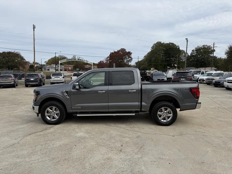 Ford F-150 XLT SuperCrew 4WD 2024