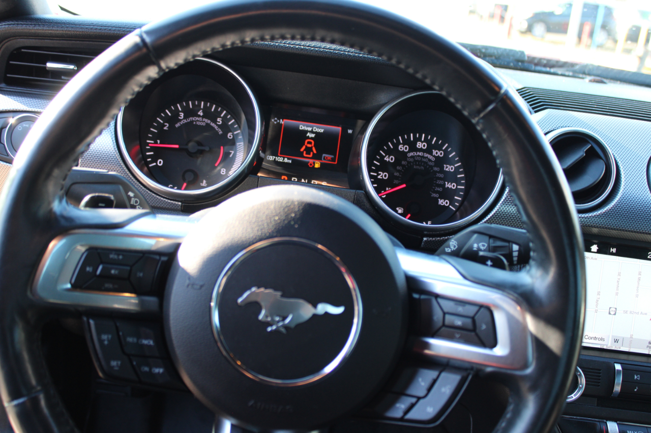 Ford Mustang EcoBoost Fastback 2018