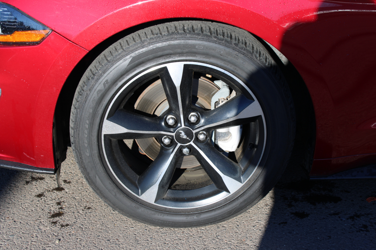 Ford Mustang EcoBoost Fastback 2018