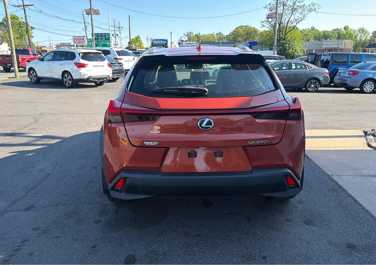 Lexus UX UX 250h AWD 2019
