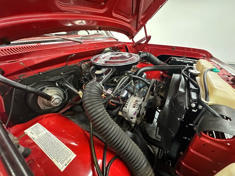 Dodge D150 Reg. Cab 6.5-ft. Bed 2WD 1979