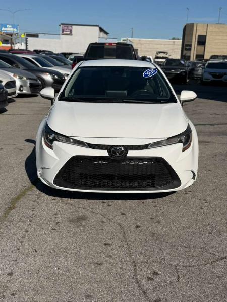 Toyota Corolla LE 2020
