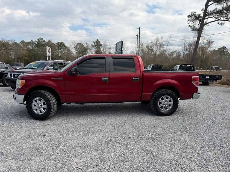 Ford F-150 2WD SuperCrew 145" XLT 2014