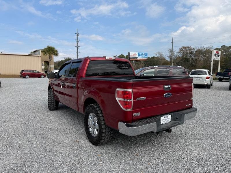 Ford F-150 2WD SuperCrew 145" XLT 2014