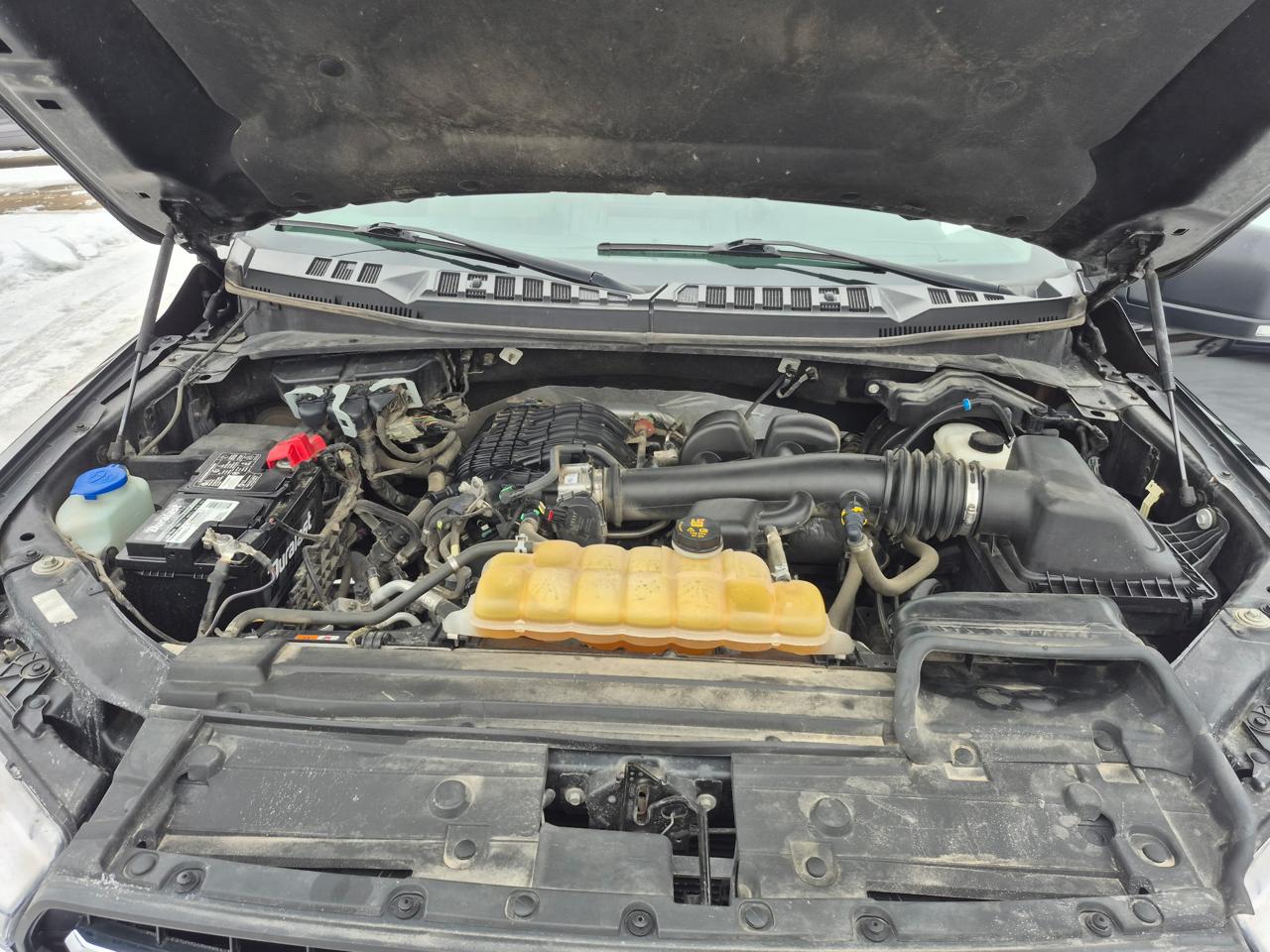 Ford F-150 XLT 4WD SuperCrew 5.5' Box 2019