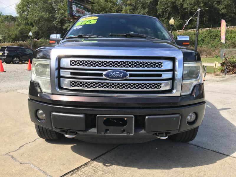 Ford F-150 Platinum SuperCrew 4WD 2013 Ford F-150 Platinum SuperCrew 4WD 2013
