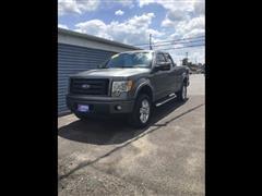 2010 Ford F-150 