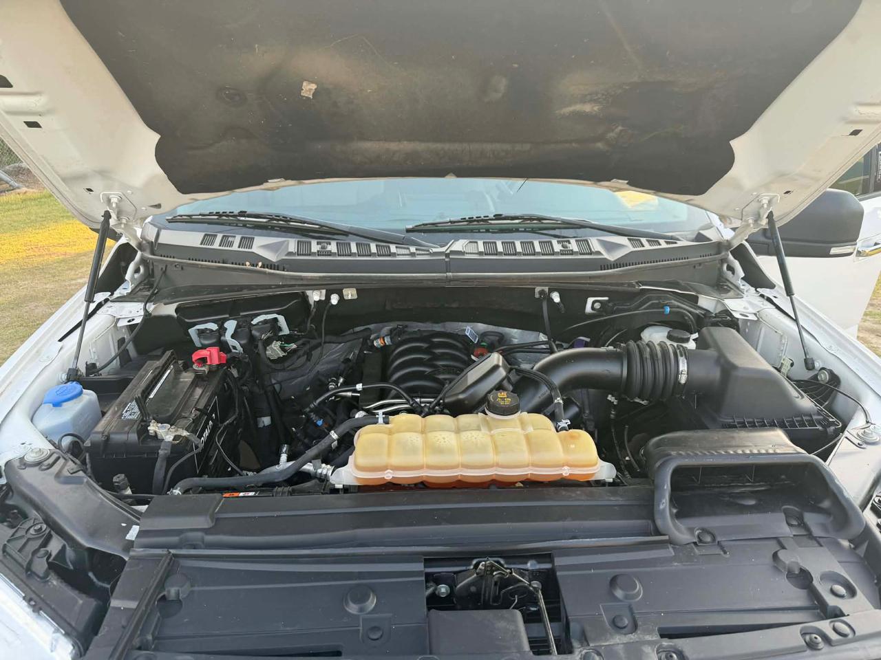 Ford F-150 XLT SuperCrew 6.5-ft. Bed 4WD 2020