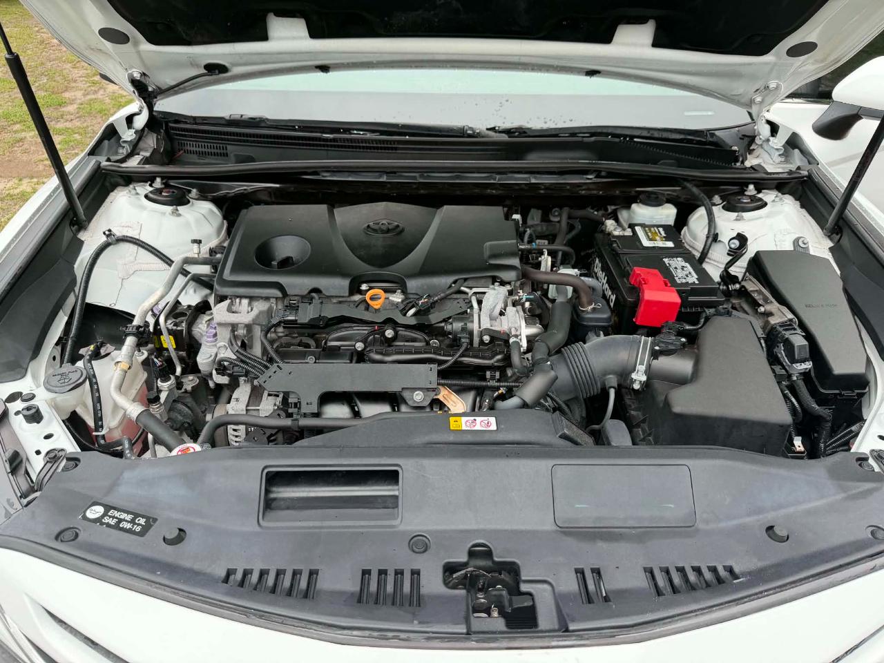 Toyota Camry XLE 2019