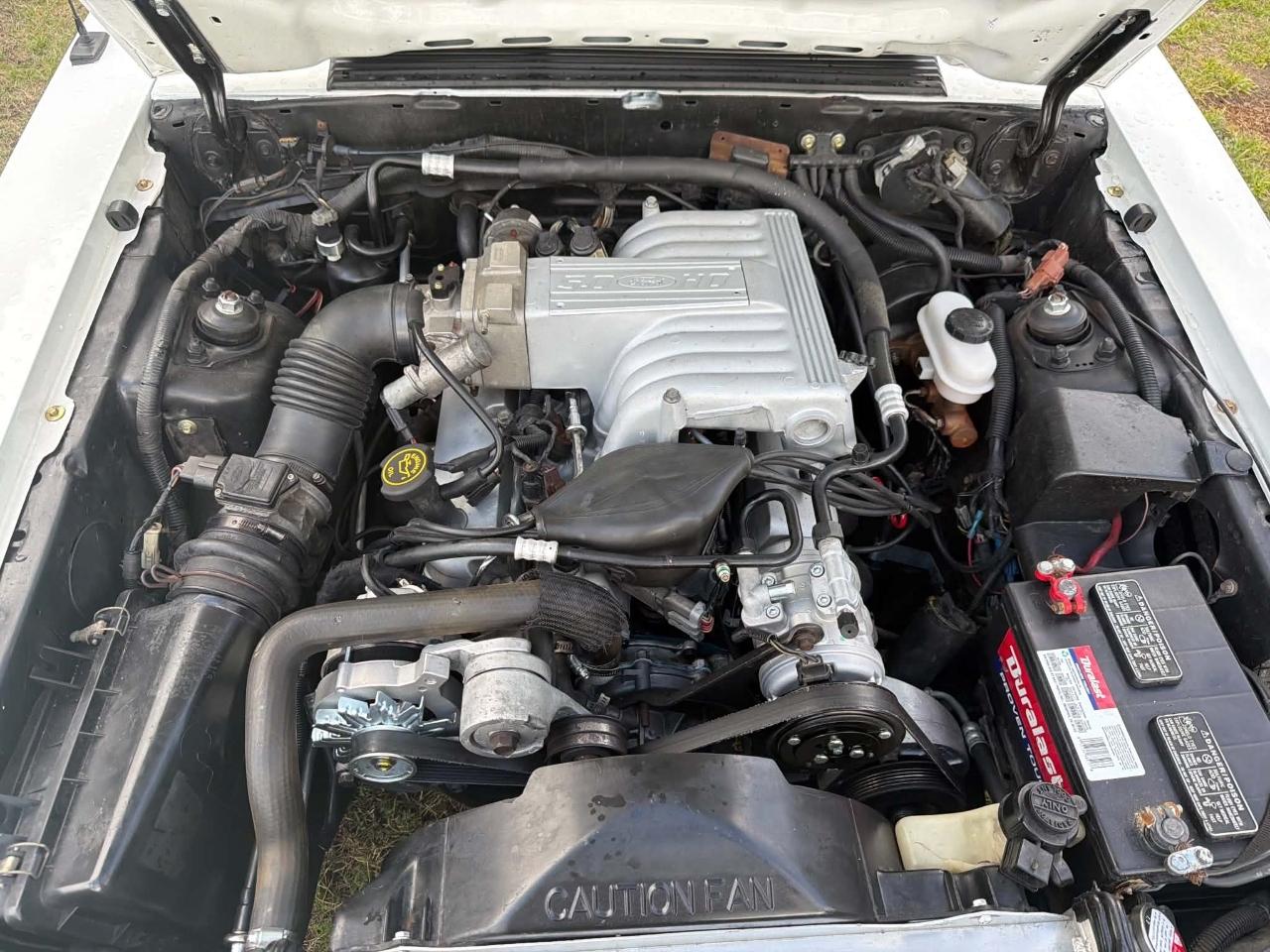 Ford Mustang GT hatchback 1991