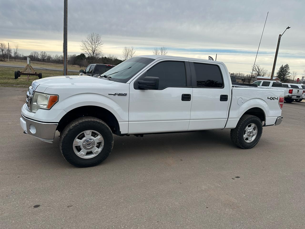 Ford F-150 4WD SuperCrew 145" XLT 2014