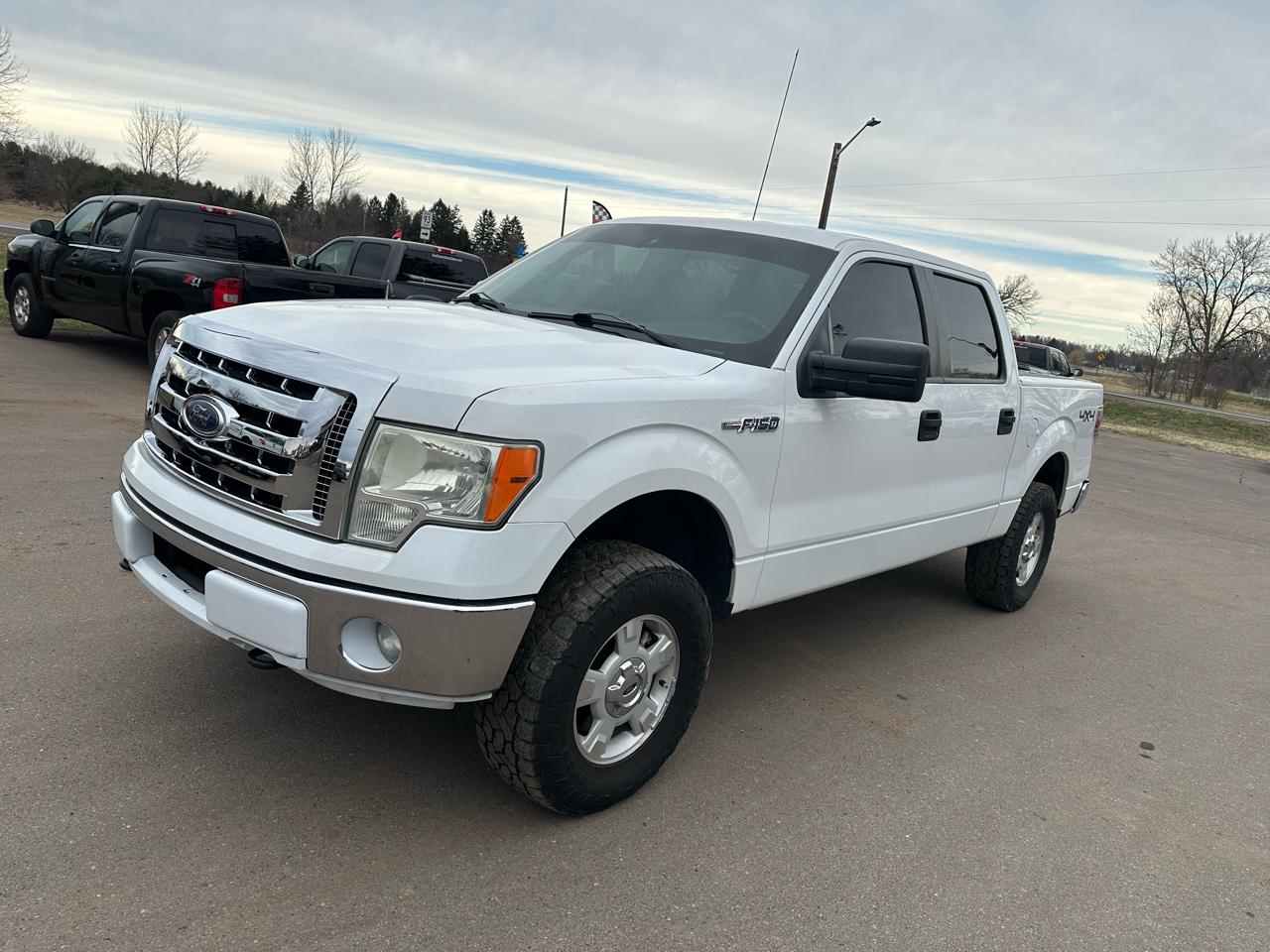 Ford F-150 4WD SuperCrew 145" XLT 2014