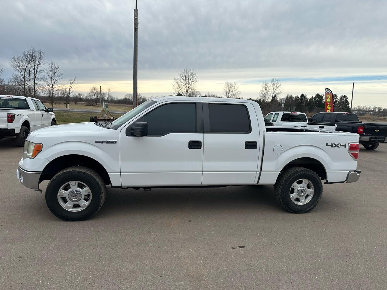 Ford F-150 4WD SuperCrew 145" XLT 2014