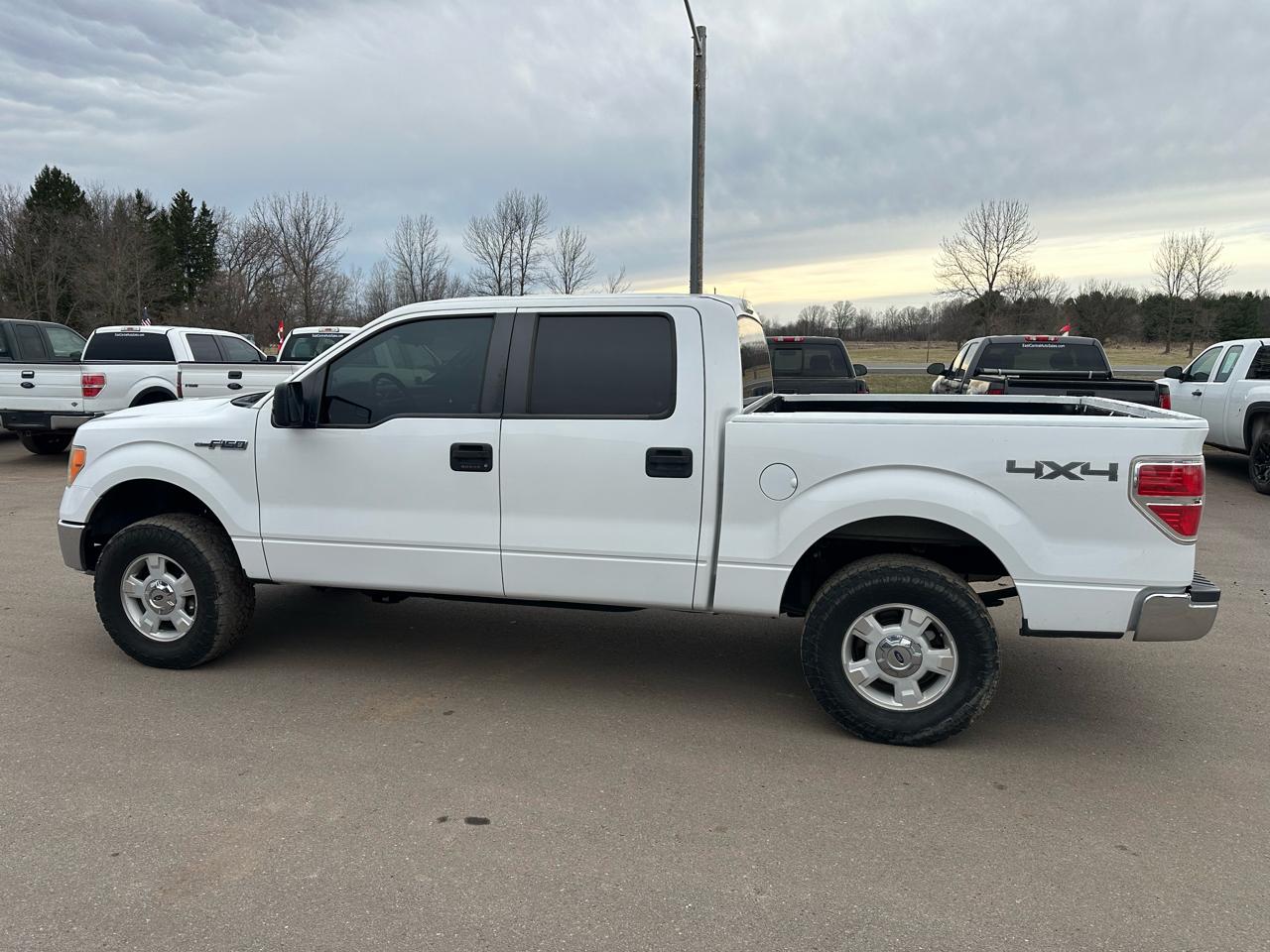 Ford F-150 4WD SuperCrew 145" XLT 2014