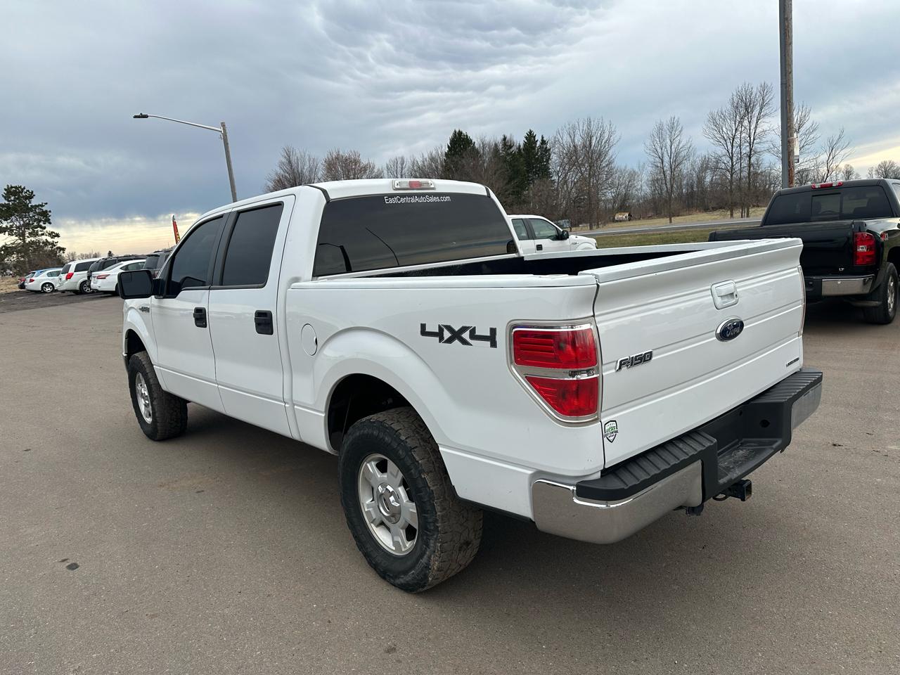 Ford F-150 4WD SuperCrew 145" XLT 2014