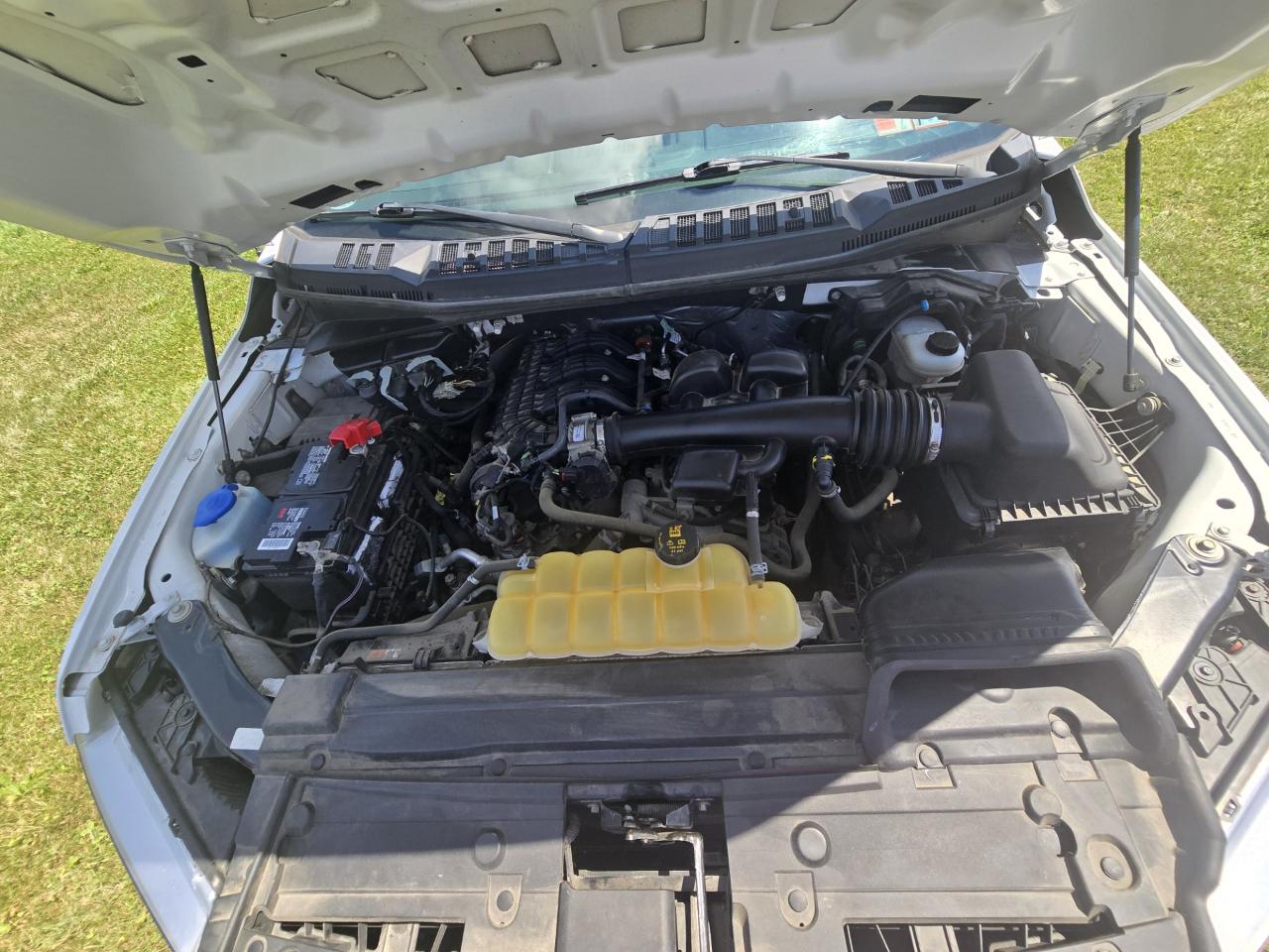 Ford F-150  2019