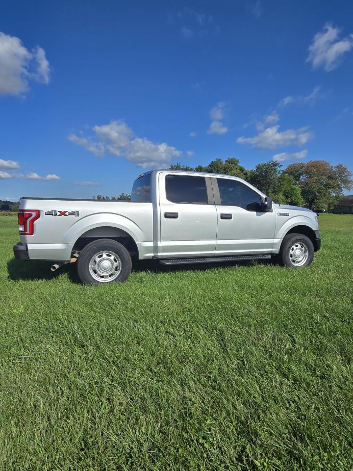 Ford F-150 XL Reg. Cab 4WD 2016