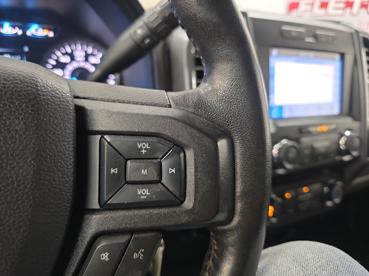 Ford F-150 4WD SuperCrew 139" XLT 2019