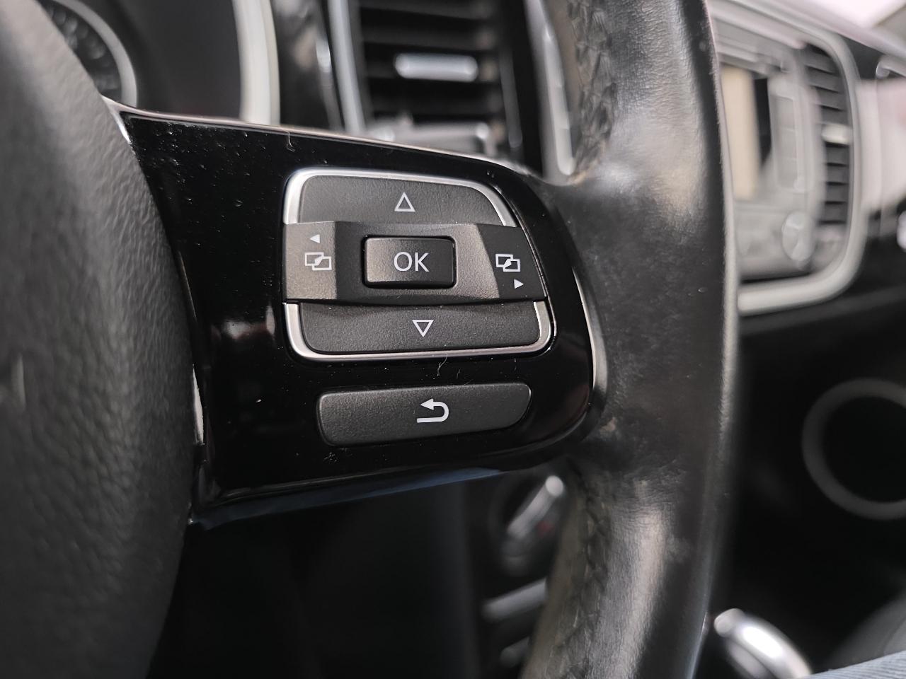 Volkswagen Beetle 2dr Cpe Auto 2.5L 2012