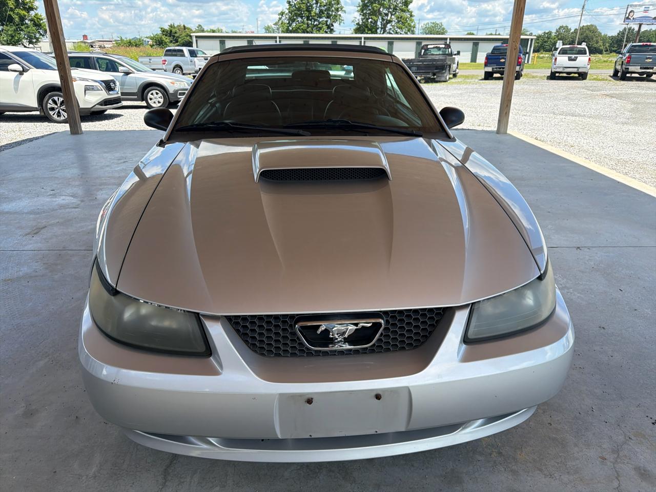 Ford Mustang 2dr Conv GT Deluxe 2003