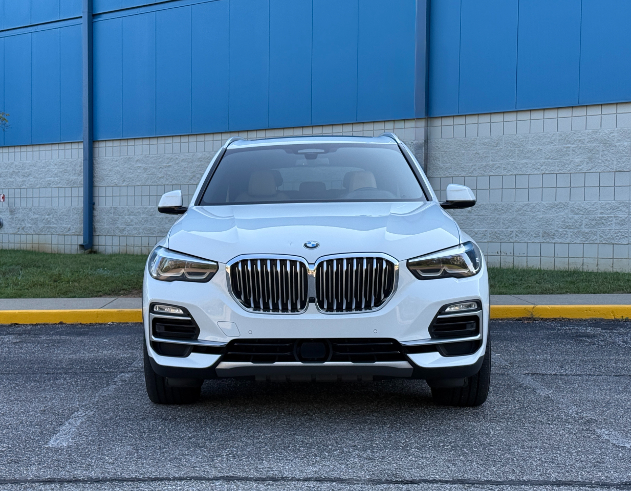 2019 Bmw X5 xDrive40i photo 2
