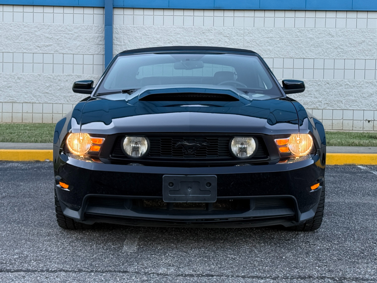Ford Mustang 2dr Conv GT Premium 2010 Ford Mustang 2dr Conv GT Premium 2010