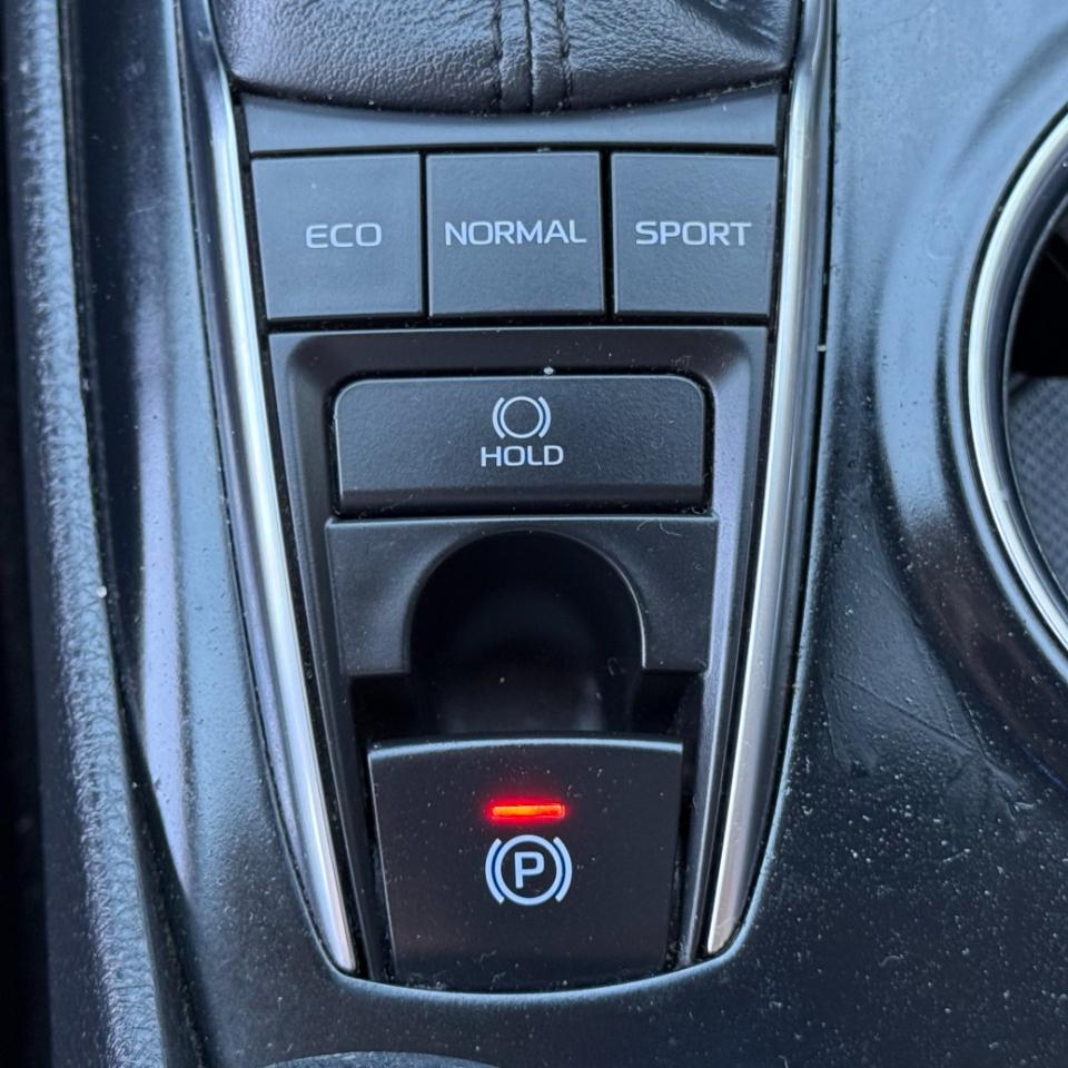 Toyota Camry XSE Auto (Natl) 2019