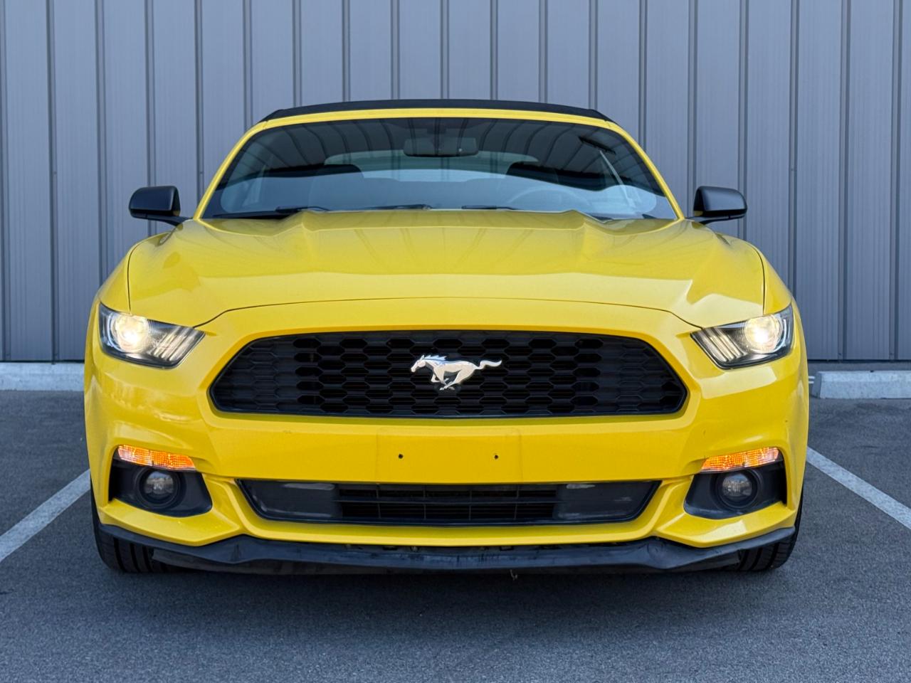 Ford Mustang 2dr Conv V6 2015