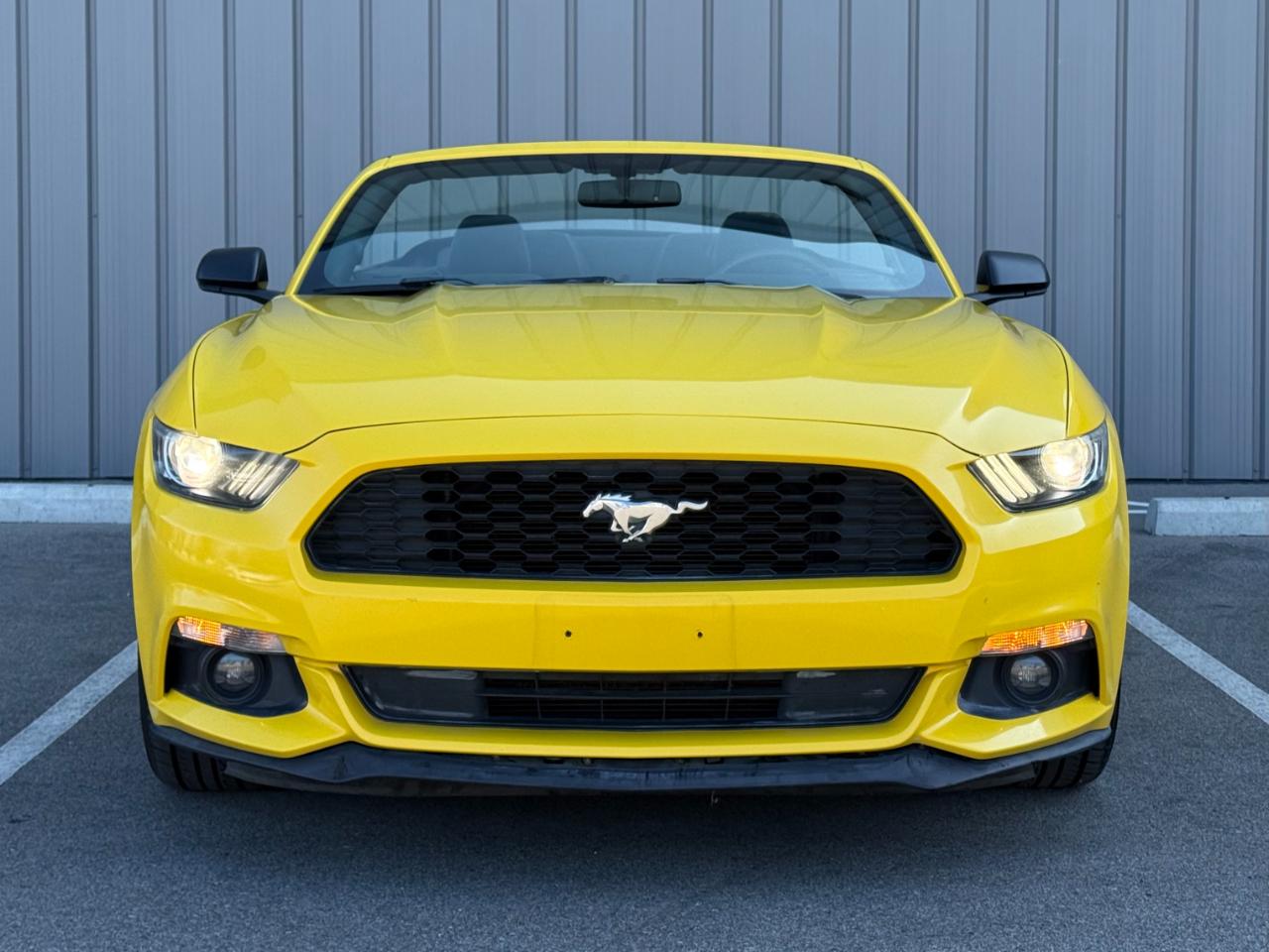 Ford Mustang 2dr Conv V6 2015