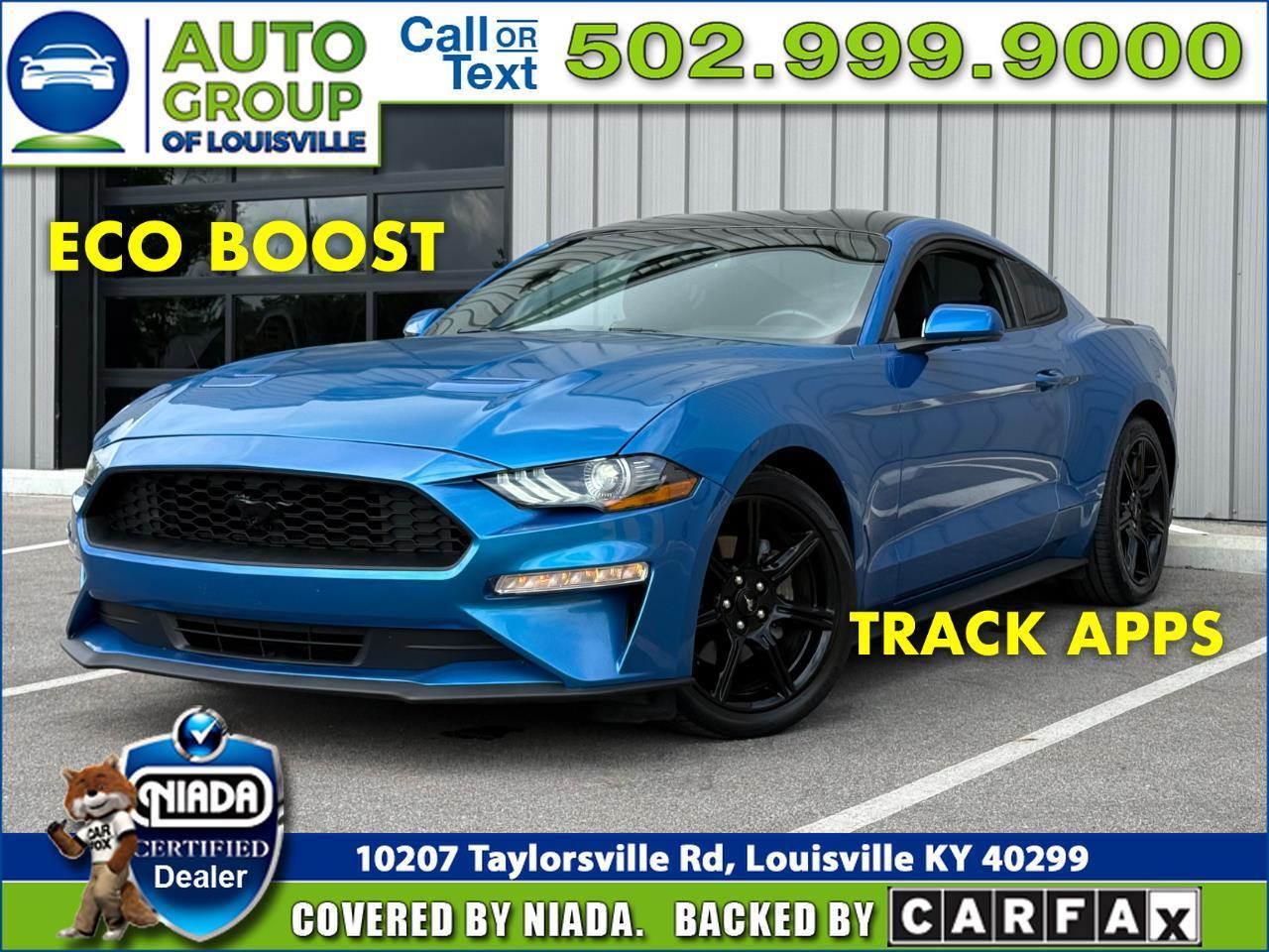 Ford Mustang EcoBoost Fastback 2019