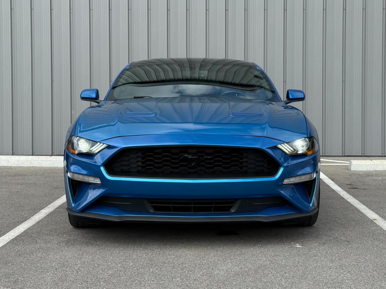 Ford Mustang EcoBoost Fastback 2019