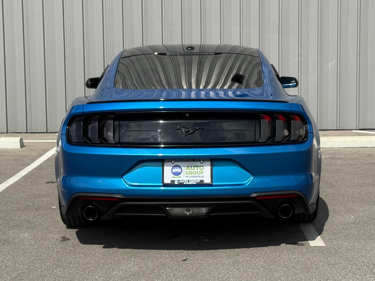 Ford Mustang EcoBoost Fastback 2019