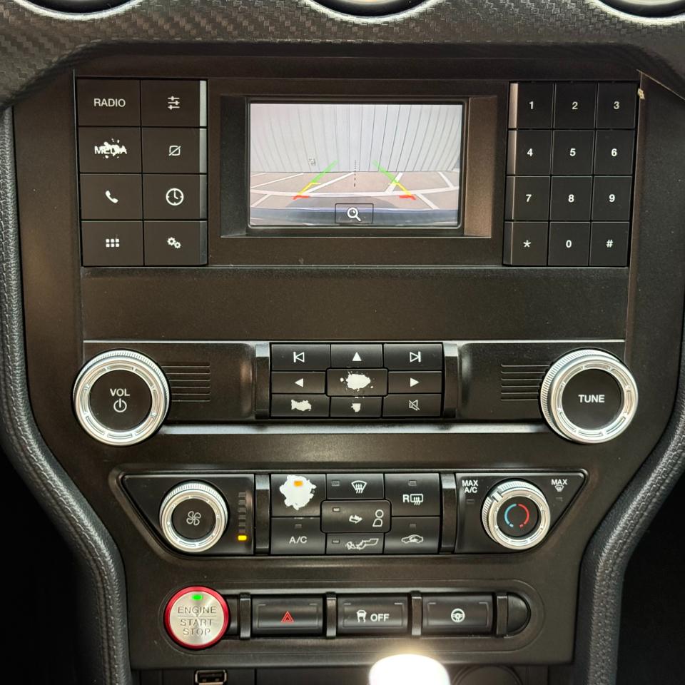 Ford Mustang EcoBoost Fastback 2019