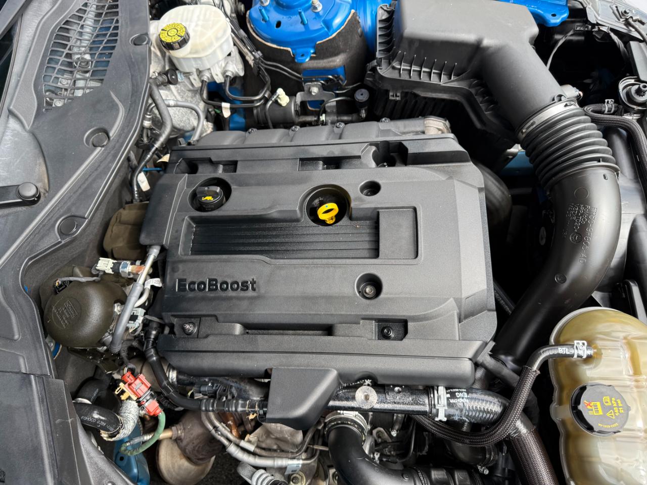 Ford Mustang EcoBoost Fastback 2019
