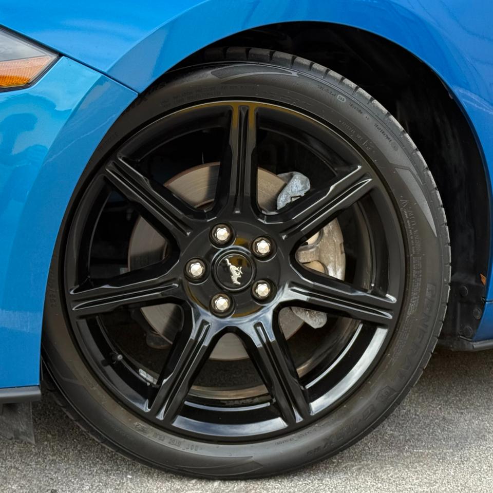 Ford Mustang EcoBoost Fastback 2019