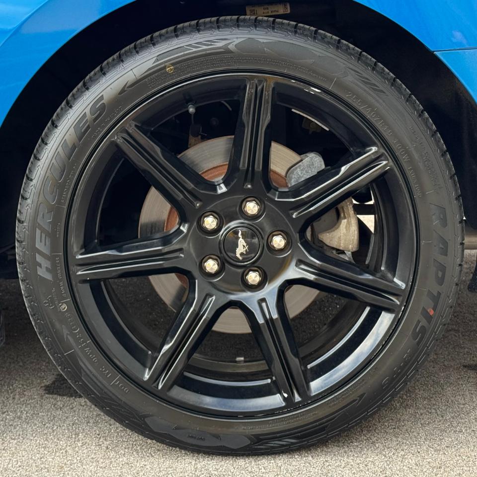 Ford Mustang EcoBoost Fastback 2019