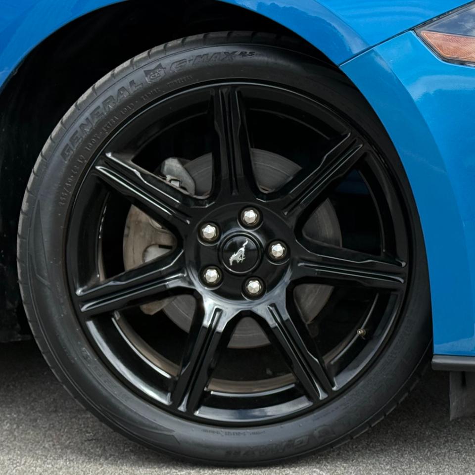 Ford Mustang EcoBoost Fastback 2019
