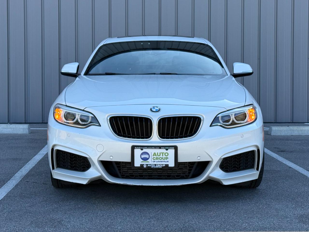 BMW 2 Series 2dr Cpe 228i RWD 2014